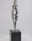 Ruggensteun (kunstpakket, zilvertin)