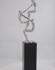Samen sterk (kunstpakket, zilvertin)