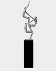 Samen sterk (kunstpakket, zilvertin)
